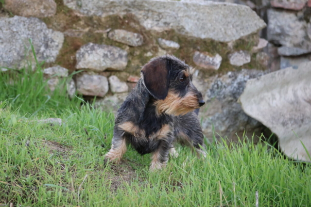 Catalina von Sunderhaar in the countryside